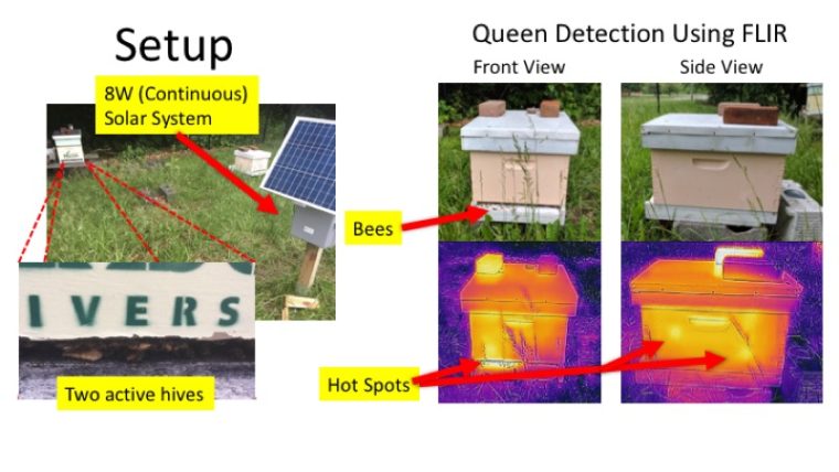 Smart Hive 1.0 Overview